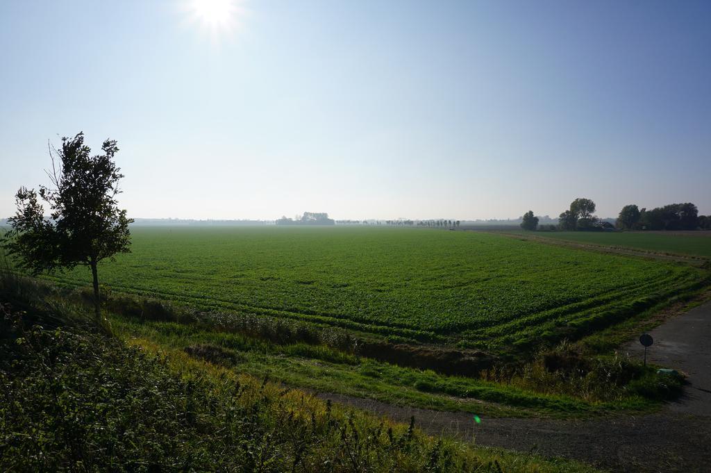 Herberg De Ring Dreischor Esterno foto